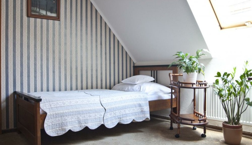 Hotel U Zlatého Lva Havlíčkův Brod